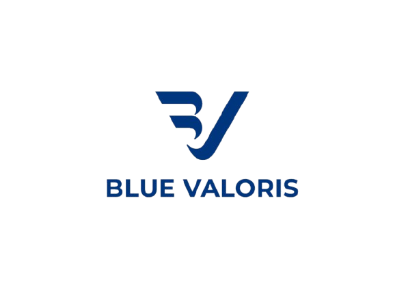 Blue Valoris Install Logo
